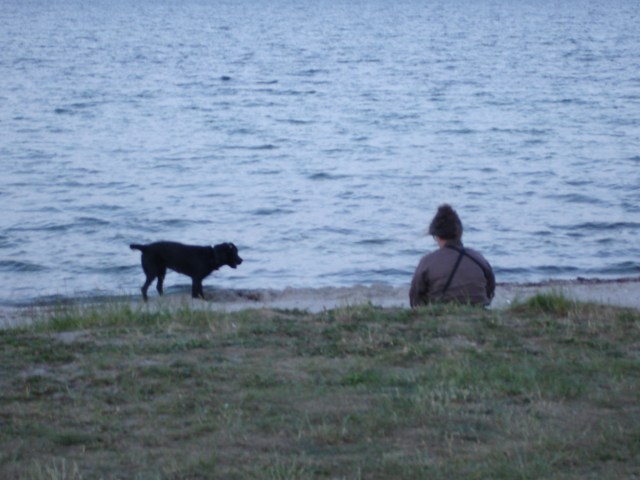 Intet mere afslappende end at se glade hunde pjaske i vandkanten og hundeejere nyde solnedgangen