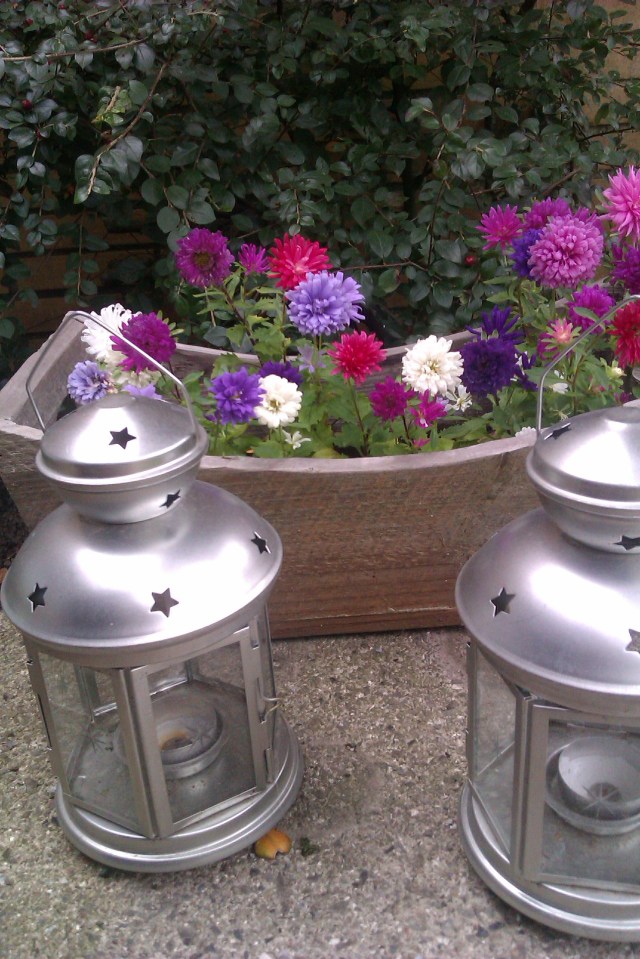 Endelig sommer og skrivetid